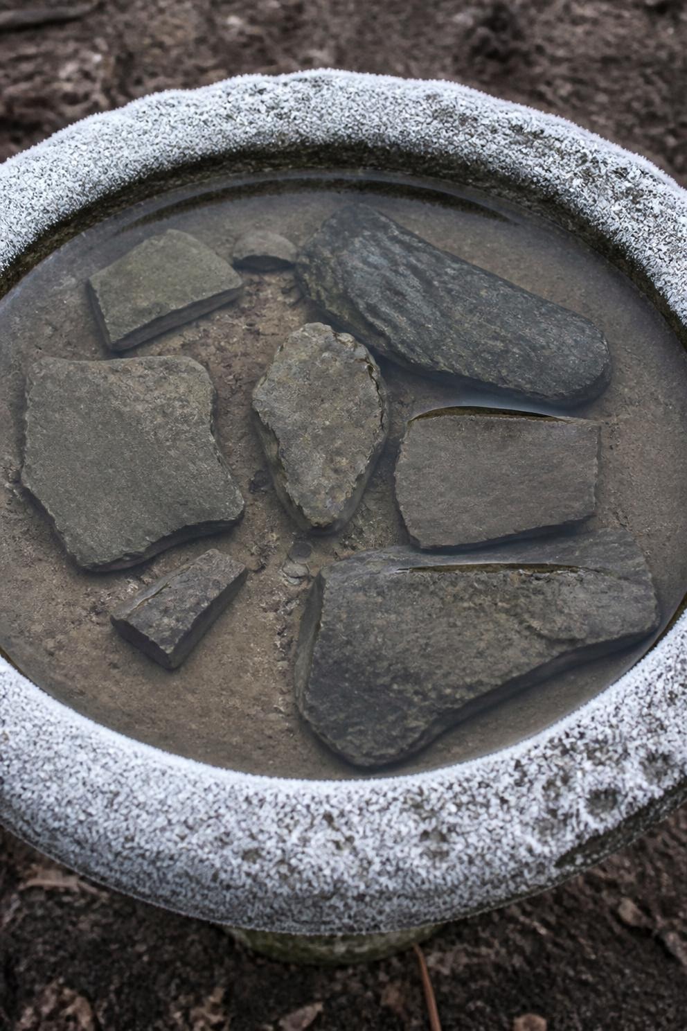 A shallow bird bath basin with flat stones in it and about two inches of water, frost on the rim