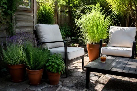 Mosquito Patio Fixes That Matter More Than Pretty Plants