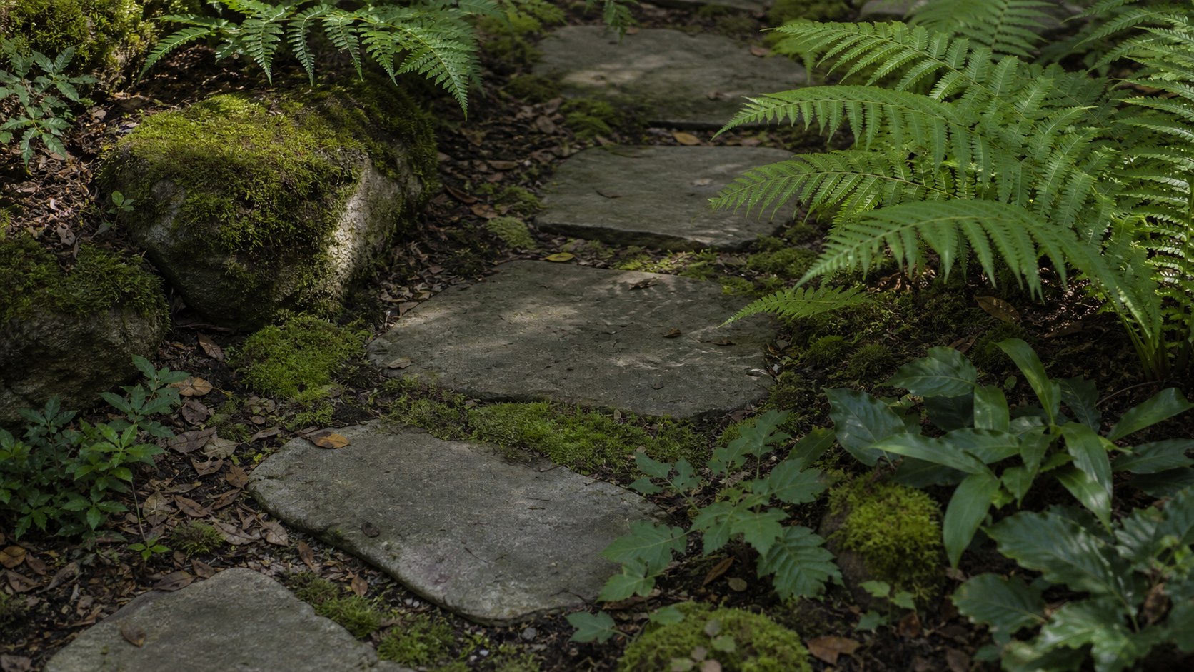 Flat stepping stones set through moss and ferns in a shaded garden corner