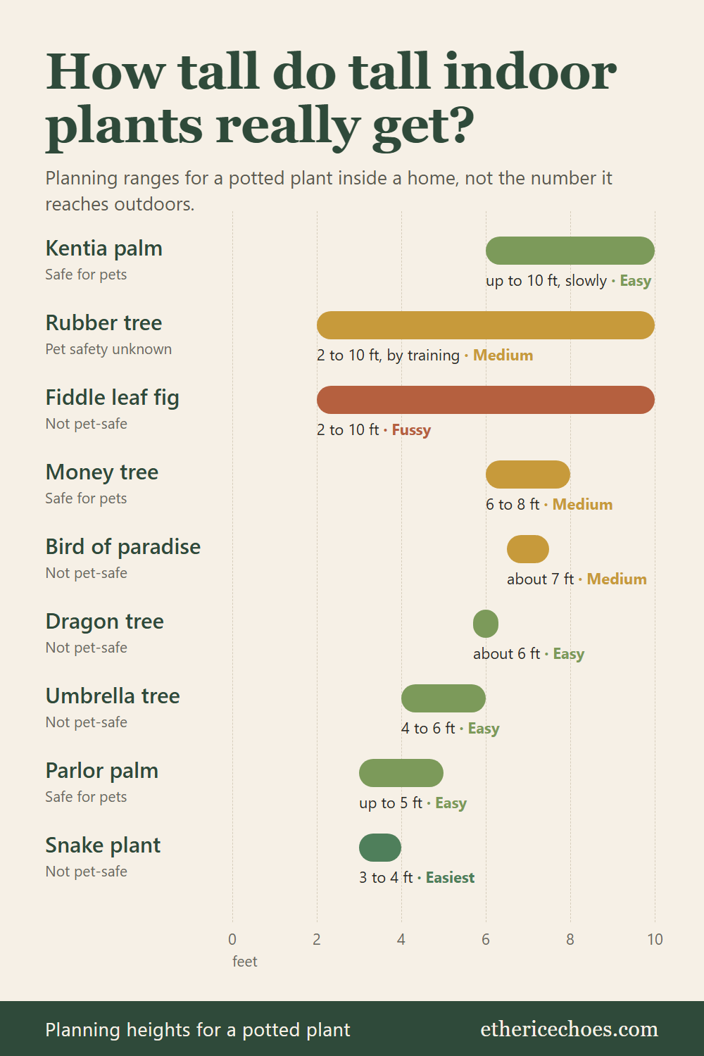 Chart of nine tall indoor plants showing how tall each gets indoors, from a 3 to 4 foot snake plant to a 6 to 10 foot kentia palm, with easy or fussy and pet-safety labels