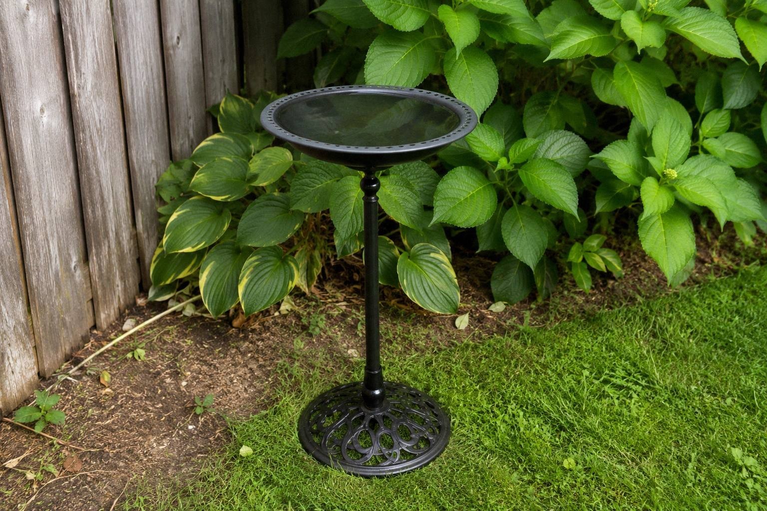 Slim black iron standing bird bath with a shallow removable bowl on firm ground in a tidy backyard corner with greenery behind