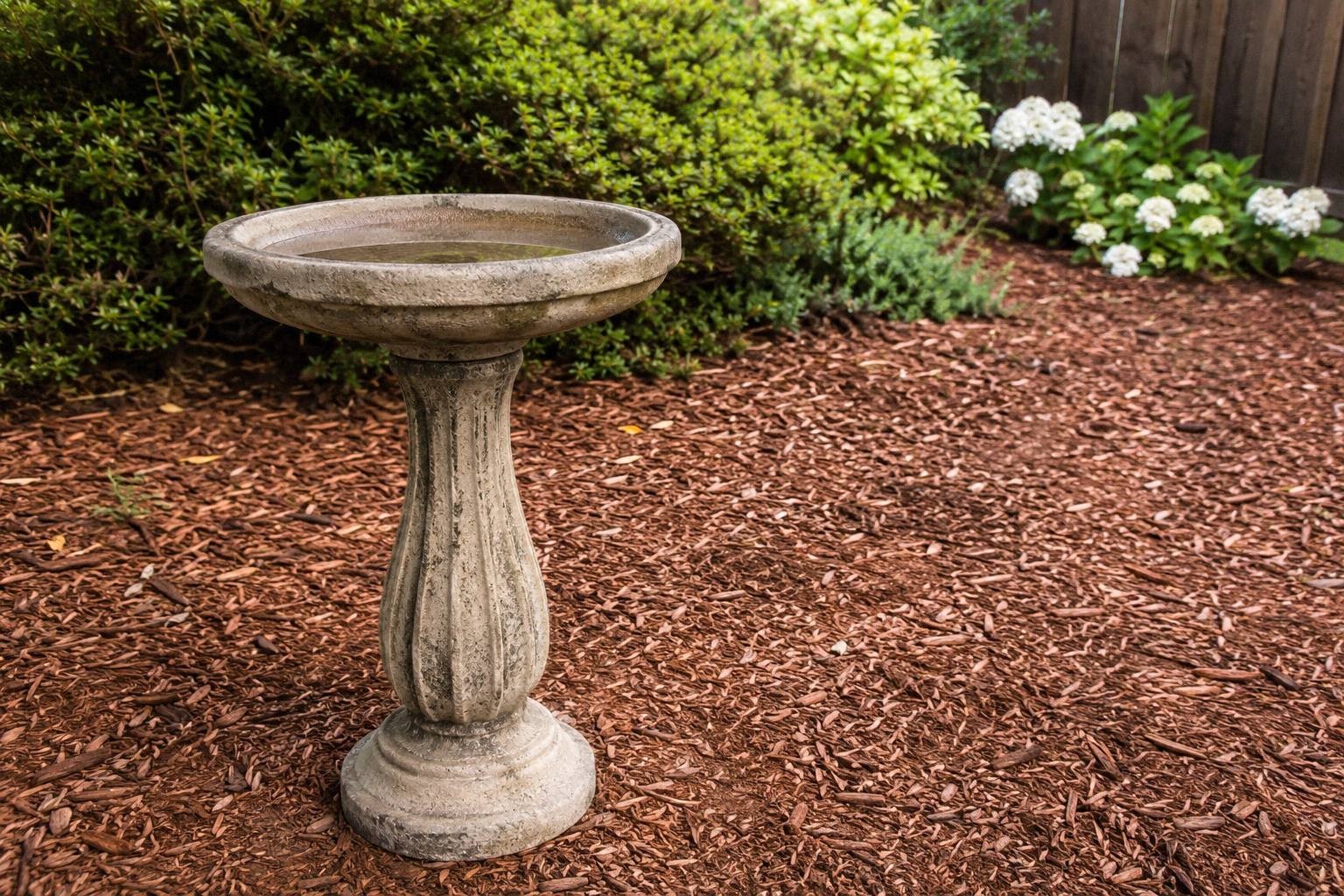 Tall stone-look pedestal bird bath anchoring a mulched backyard corner with low shrubs and white hydrangeas